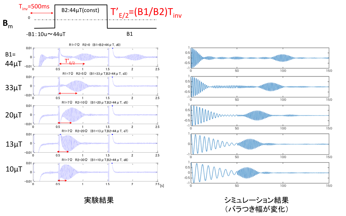 非対称スピンエコーの出現タイミングの実験とシミュレーション