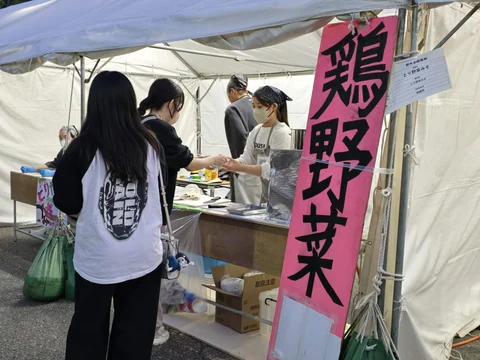 Food being served at a festival stall