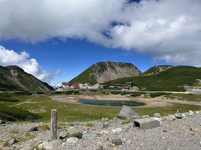 野村 和希